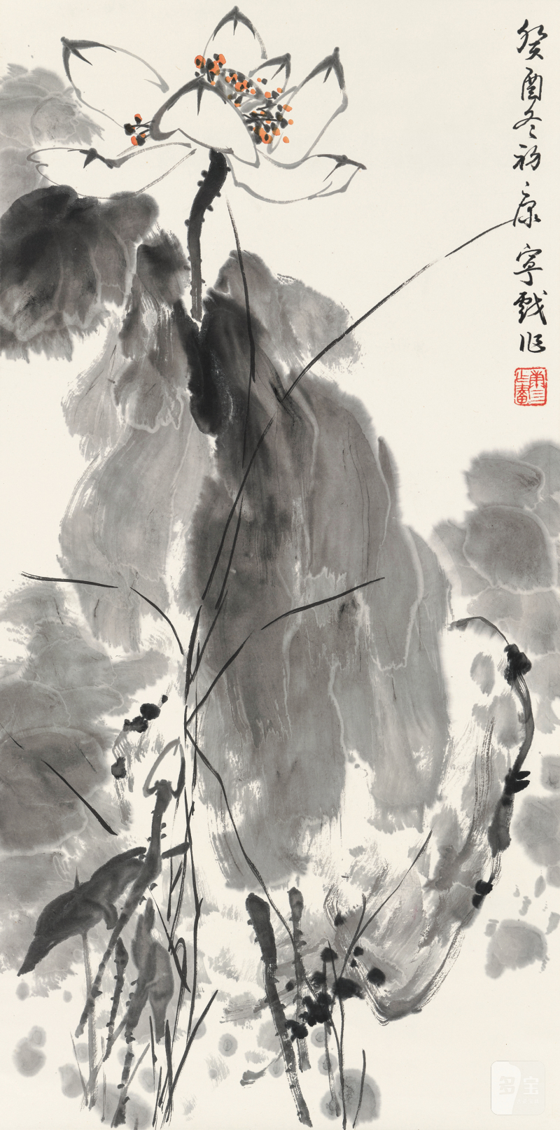 康 宁 b.1963 白荷 - 图2